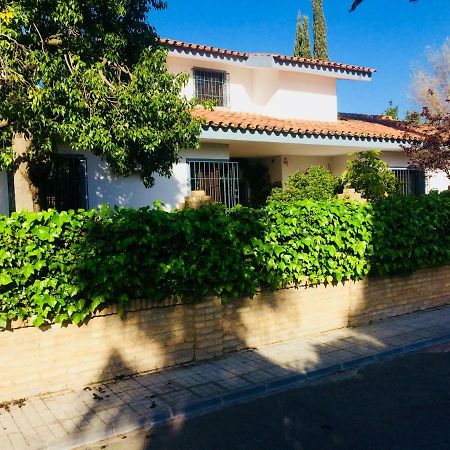Villa Ferrer Sevilla Gines Exterior photo