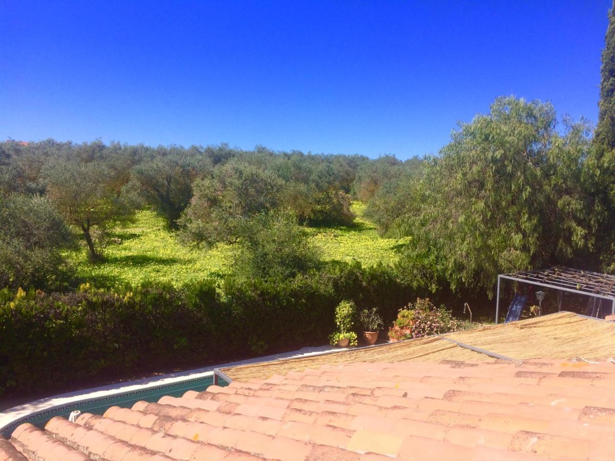 Villa Ferrer Sevilla Gines Exterior photo