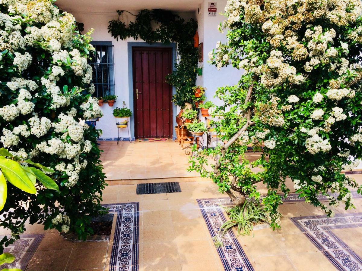 Villa Ferrer Sevilla Gines Exterior photo